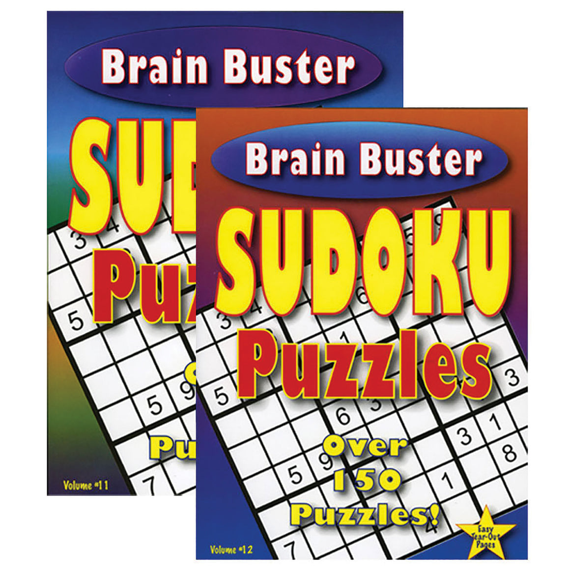 Brain Teaser Sudoku Puzzle Book