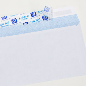 #6 3/4 Self-Seal Security Envelope (55/Pack)