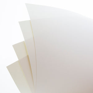 22" X 14" White Poster Board (3/Pack)