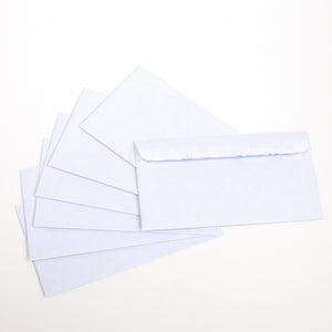 #6 3/4 Self-Seal Security Envelope (80/Pack)