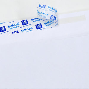 #10 Self-Seal Security Envelope (40/Pack)