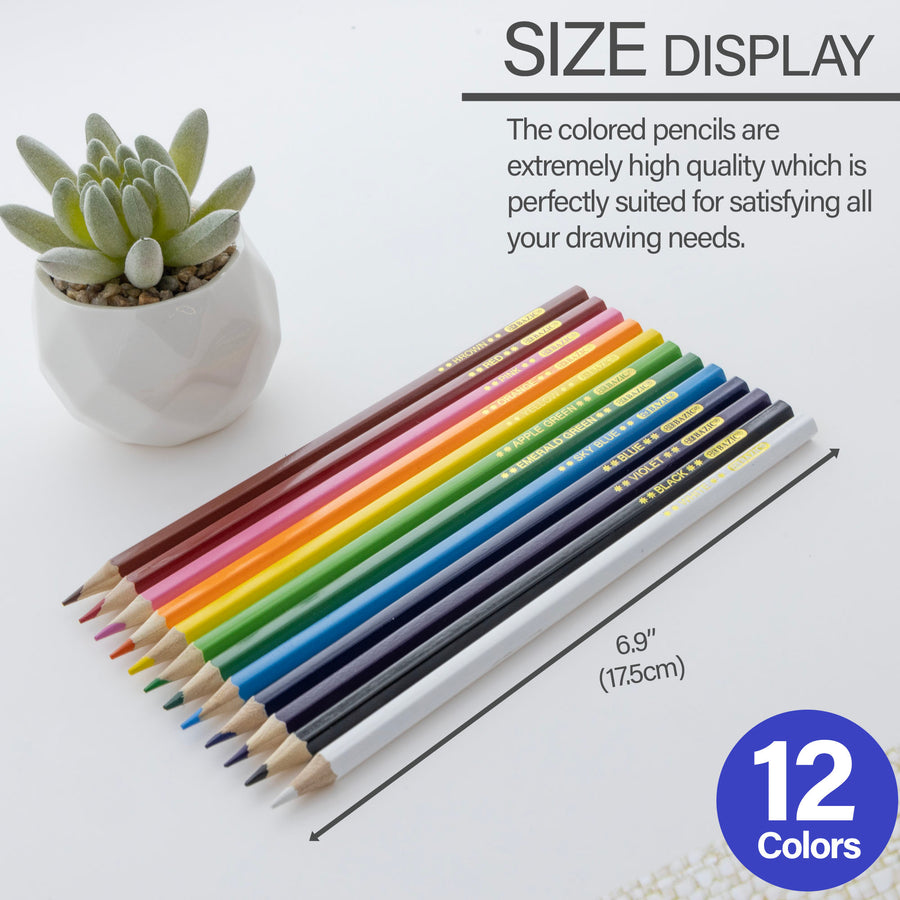 12 Colored Pencils